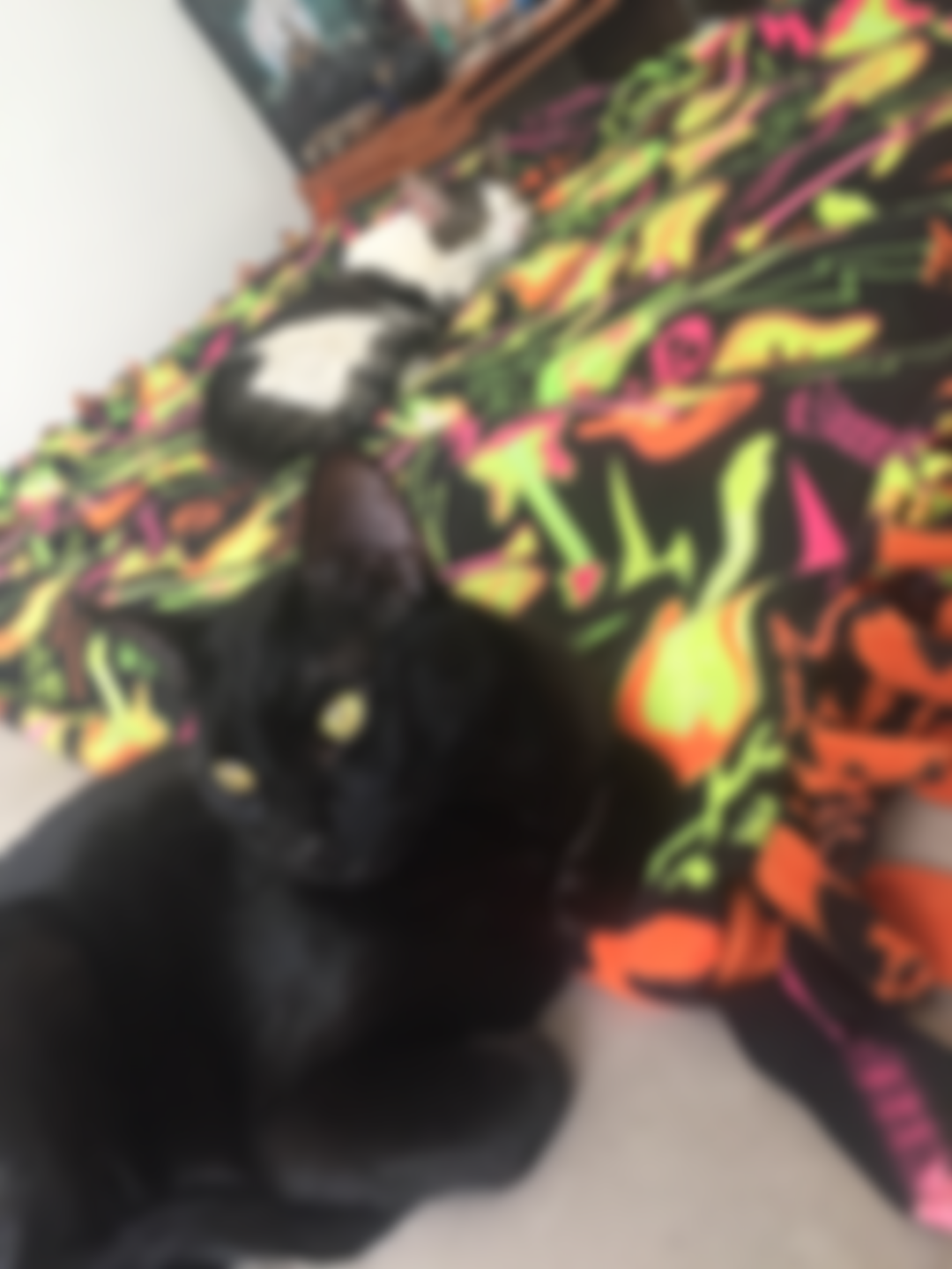 Clearly I am winning this whole “roommate” situation...