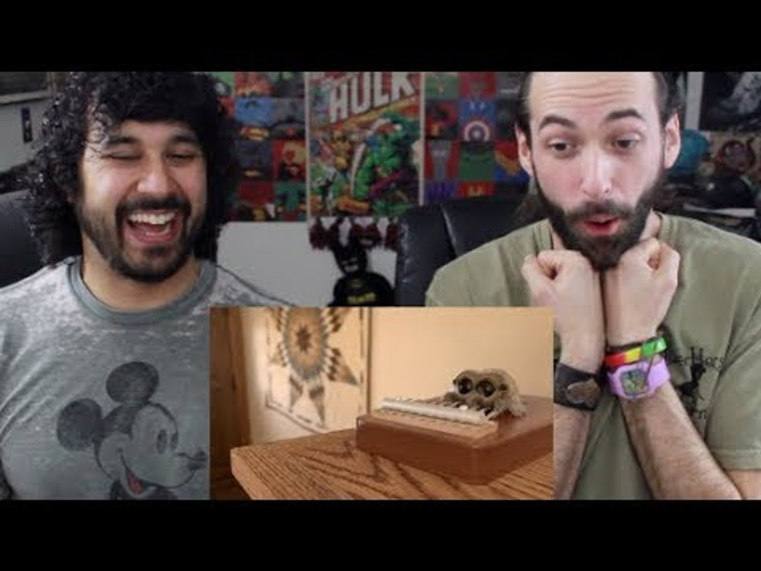 Lucas The Spider - 5 Video Reactions!!!
