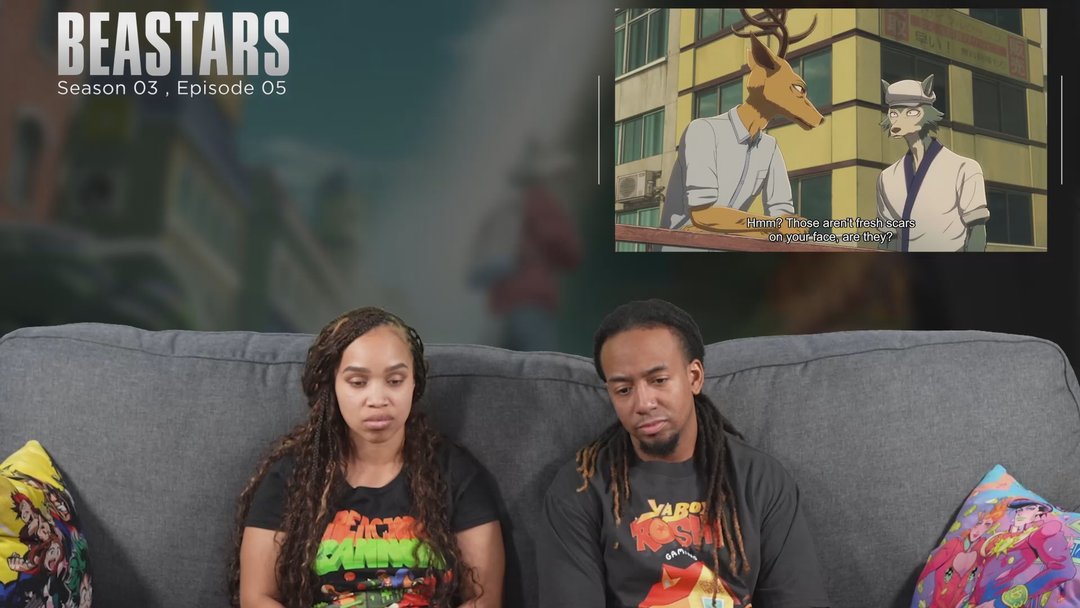 Beastars 3x5