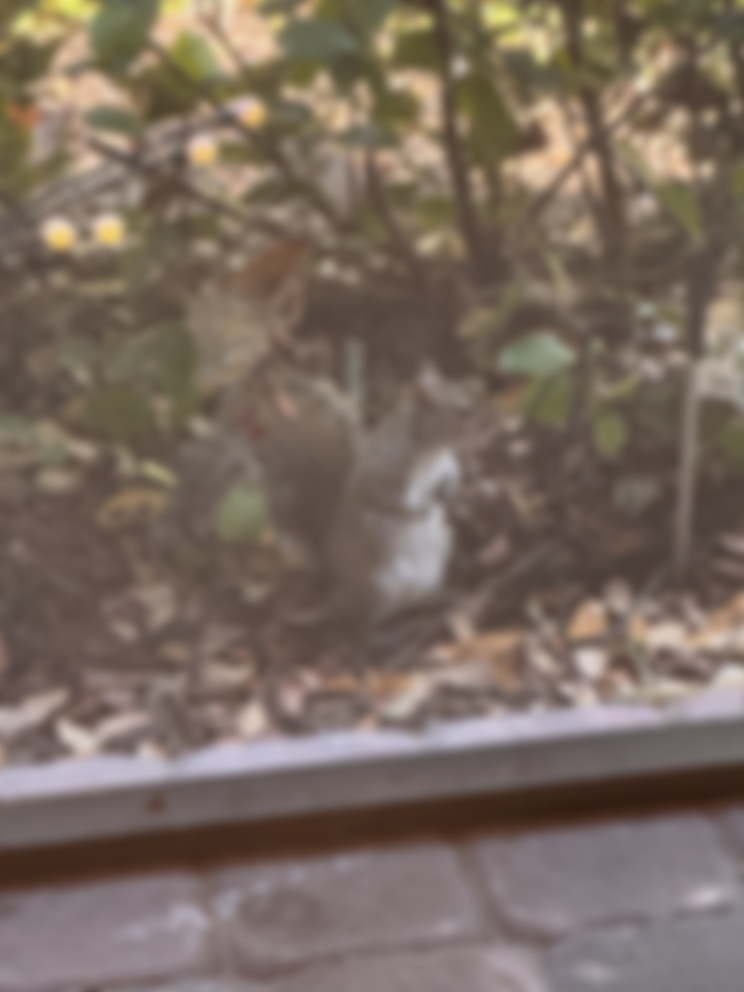 AdorkableNerd Returns April 10th