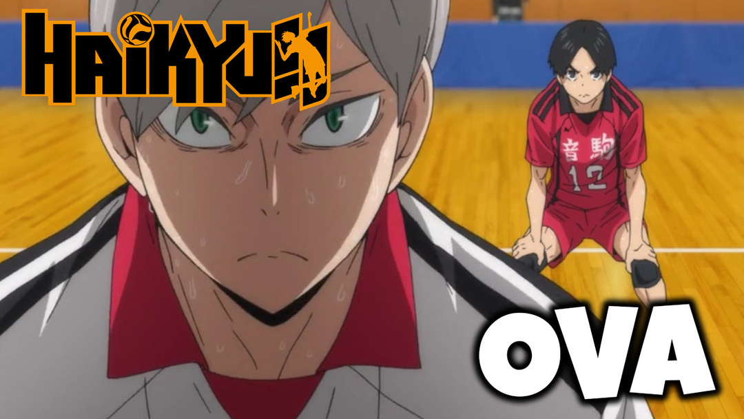 HAIKYU!!: Land Vs. Air + The Path of the Ball OVA's (PATREON EXCLUSIVE REACTION)