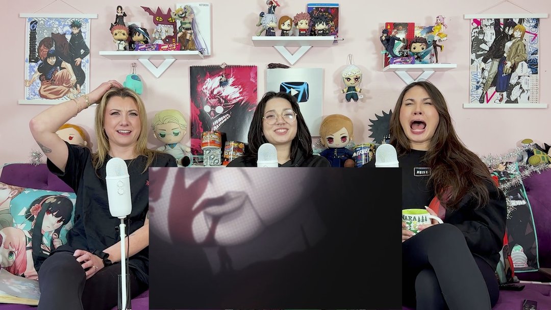 Steins;Gate E11 & E12 Premium Release!